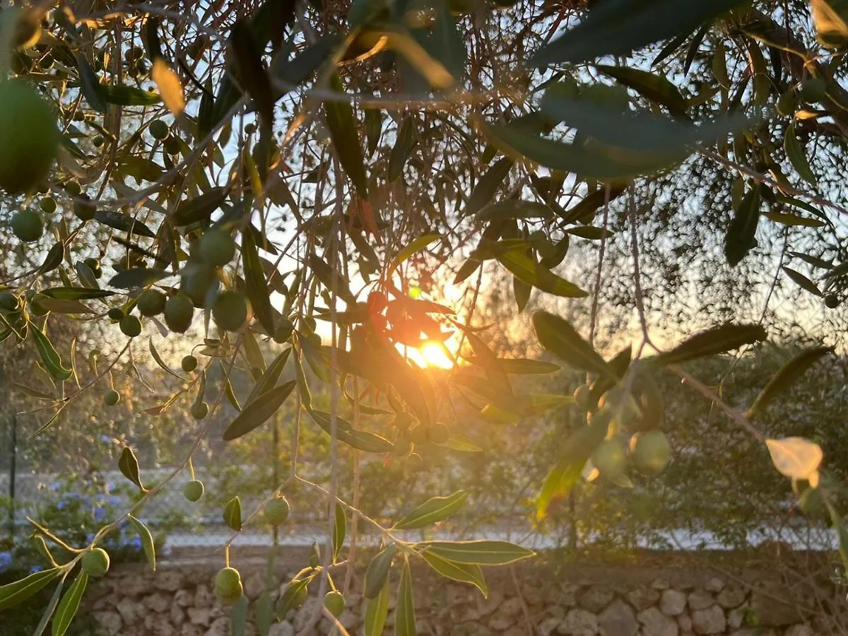Villa Falconara Lido di Noto Itálie